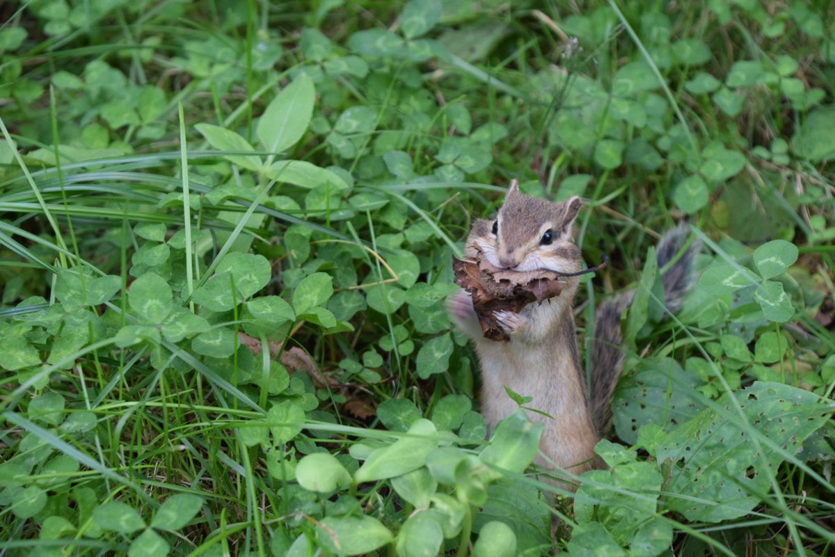 のぞみん🐛（のぞぱん） (@nozonozopan) / X