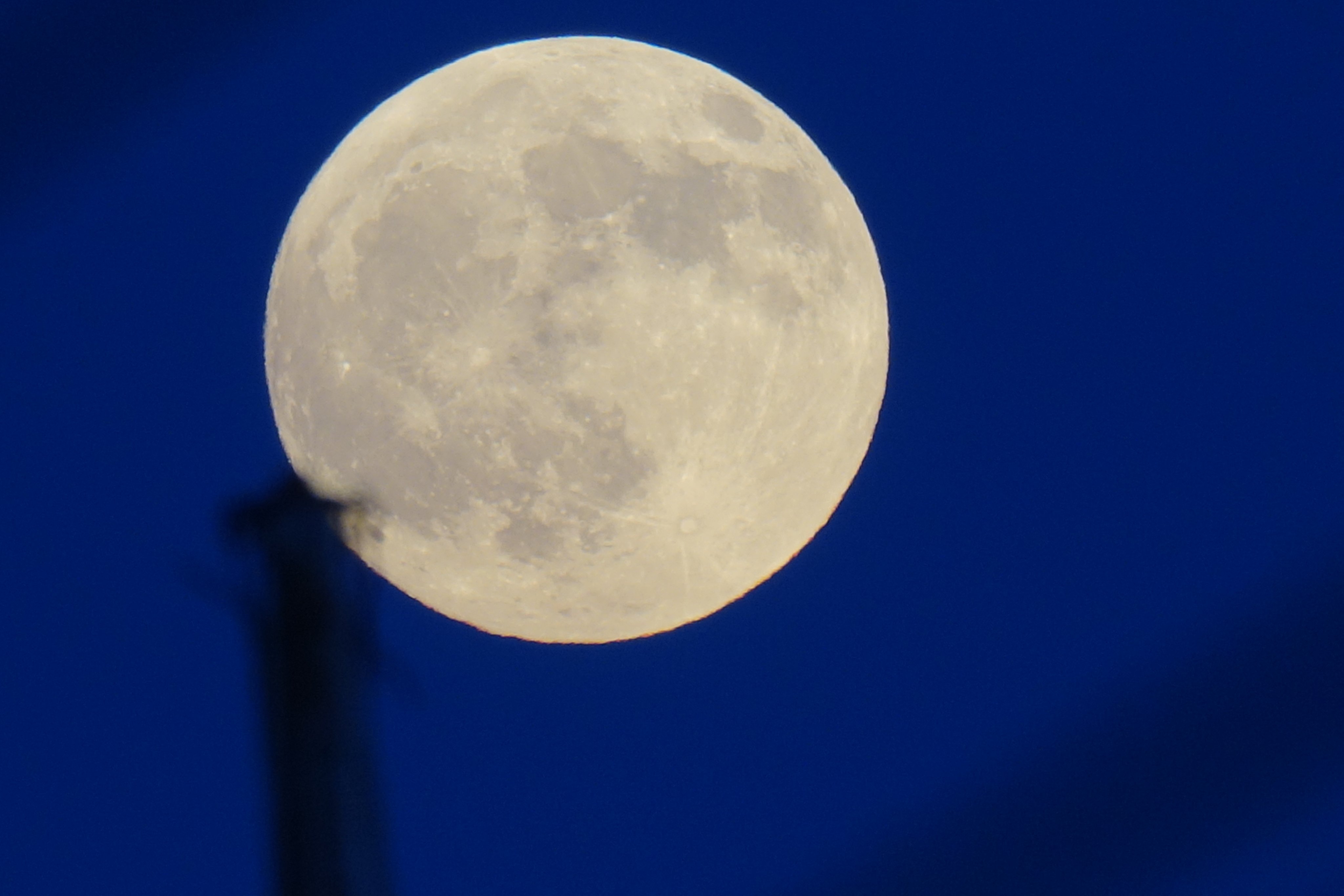 月見月 2022年 カレンダー 月齢 月の満ち欠けカレンダー | 株式会社誠文