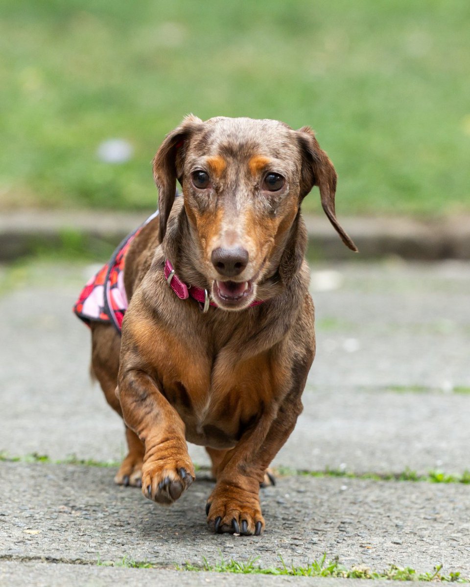 Manchester Pride tweet media