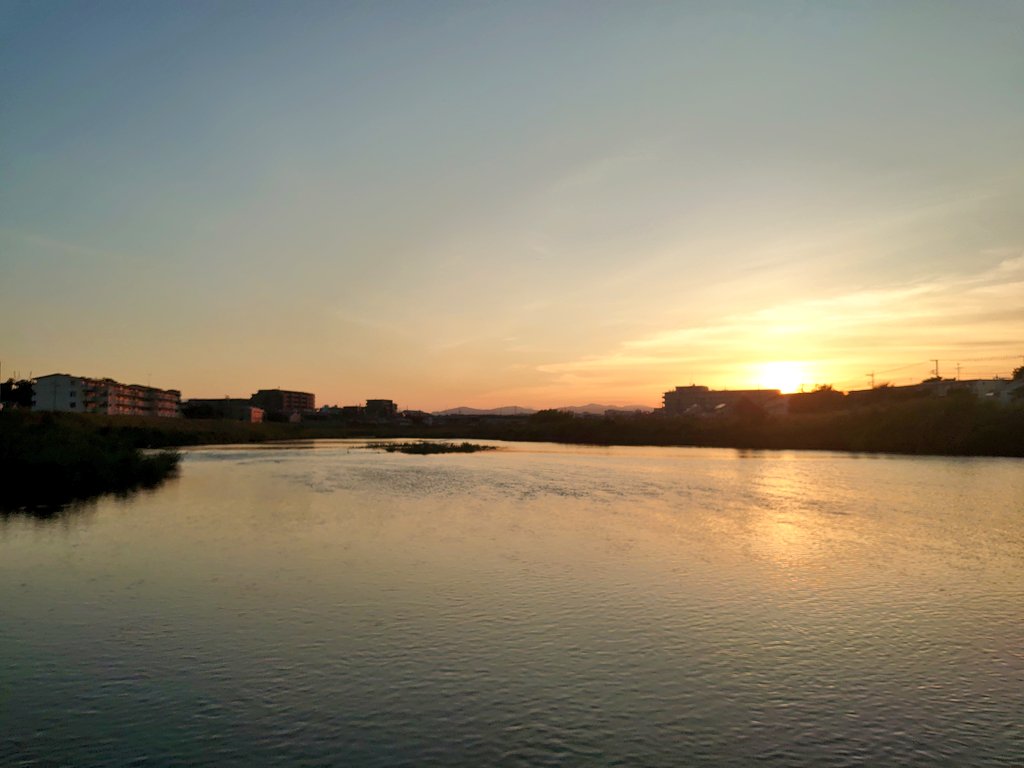 一人で川の向こう岸まで渡りきれるかやってたんだけど、終盤のどっち進むかの択ファインプレーすぎたしそのあとの死ぬほど沈む木の足場のとことかもギリギリですごかったな、次やっても成功する自信ない