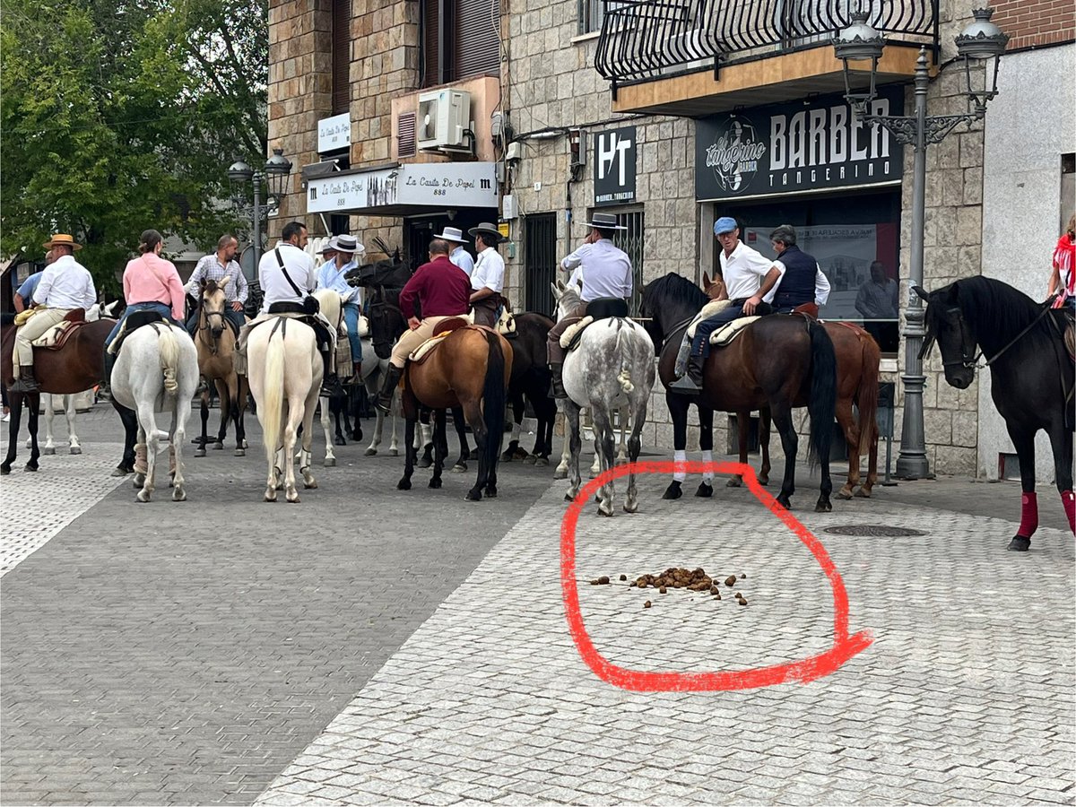 Esperando la magia de nuestros impuestos para que el Ayuntamiento de #Colmenarejo (y su alcalde al frente) retire los excrementos de los caballlos. Mientras usted está obligado a recoger las cacas de su perro, estos jinetes se largan dejando su marca. La culpa no es del caballo.