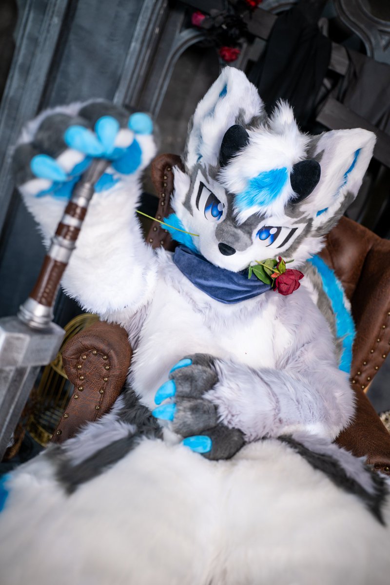 I'm so lazy. I haven't gone out to take pictures recently #furry ＃furmony😍