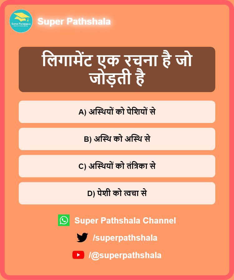 SuperPathshala's tweet photo. लिगामेंट एक रचना है जो जोड़ती है
A) अस्थियों को पेशियों से
B) अस्थि को अस्थि से
C) अस्थियों को तंत्रिका से
D) पेशी को त्वचा से
#mcq #quiztime #BiologyQuestion #GKQuiz #CompetitiveExams #UPSCPrelims2026 #ssccgl #rrbntpc #railway Celebrating 120 Kashmiri National Emblem https://t.co/wNpJo45Idf