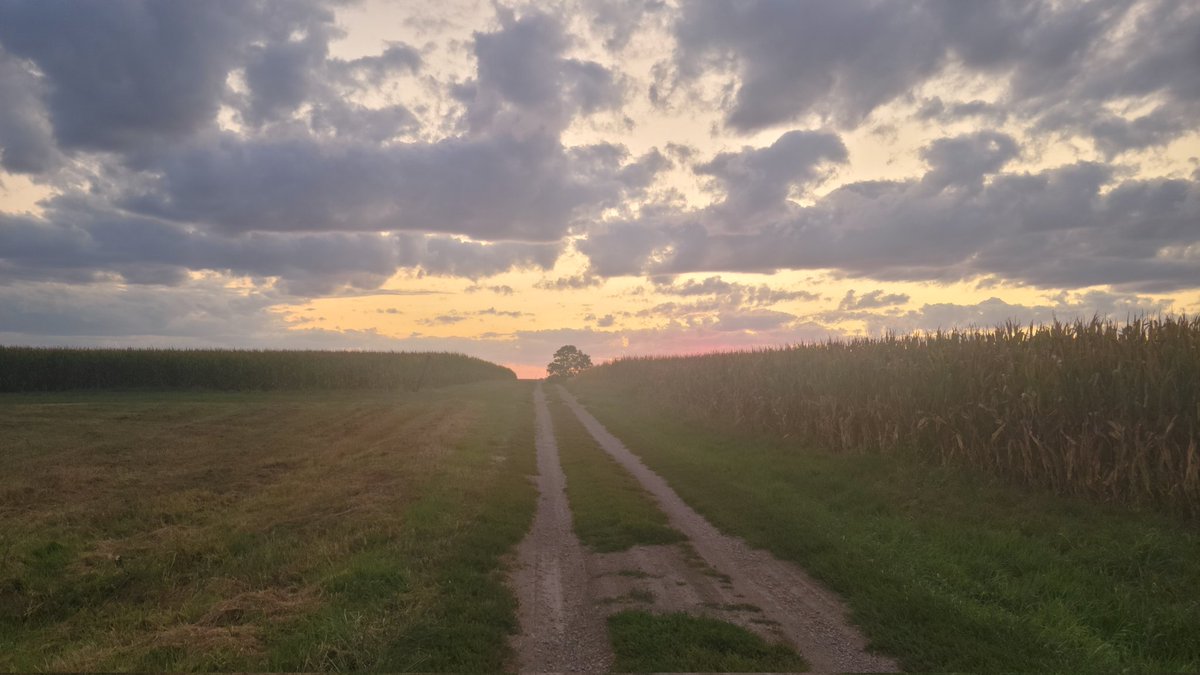 Magician tweet media