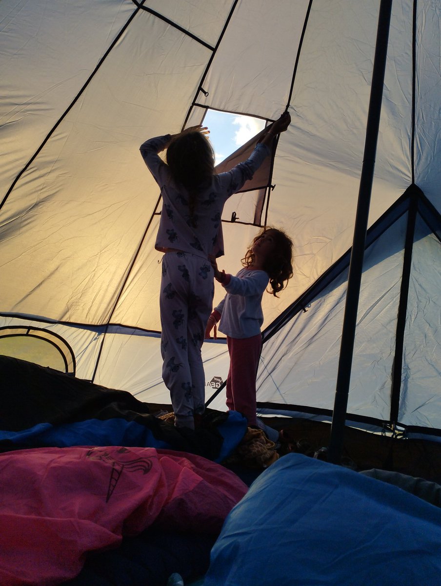 Dom Loves Investing | Road to 100K tweet media