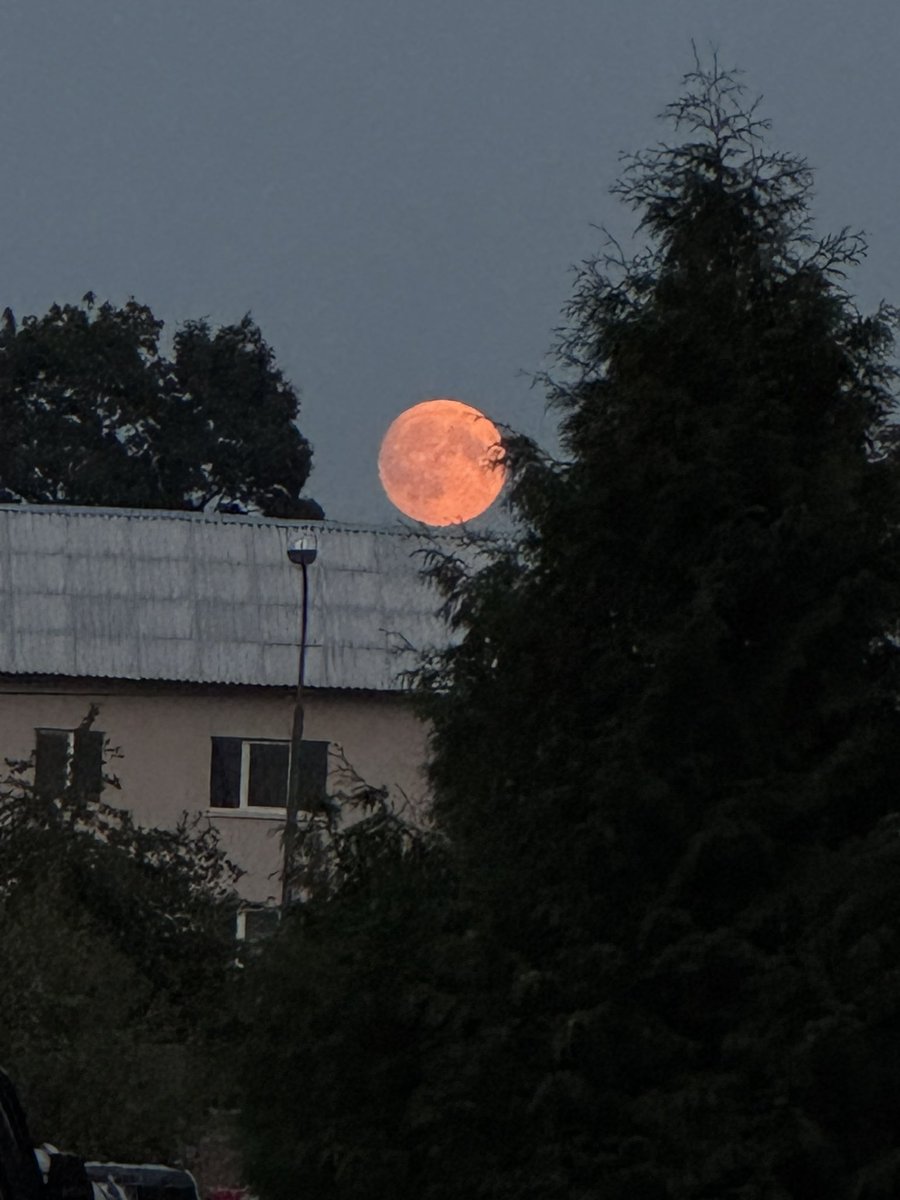 GM $Orcasm 
I want for you to see this moon 
It was so BIG AND $ORCASM IC