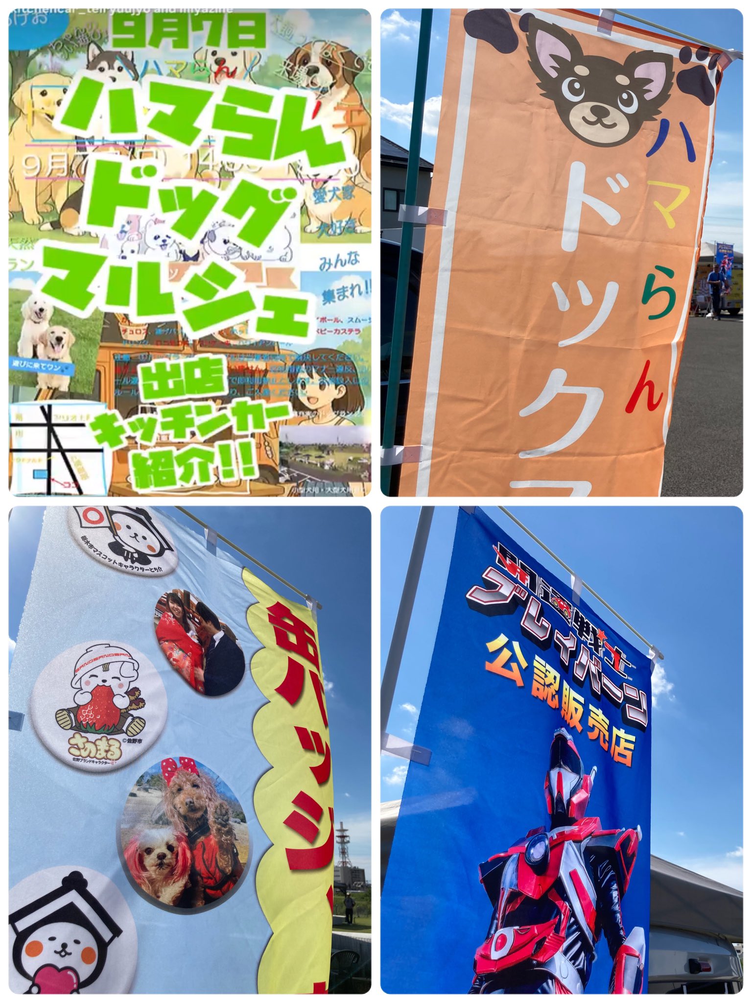 みきまる♡プロフ必読♡❀金運強化レイキボール幸運の鳥バージョン❀ 2024. 2.14 Wed☀️ . . 幸運の黄色い鳥🐦💛 . 金運💰アップかな