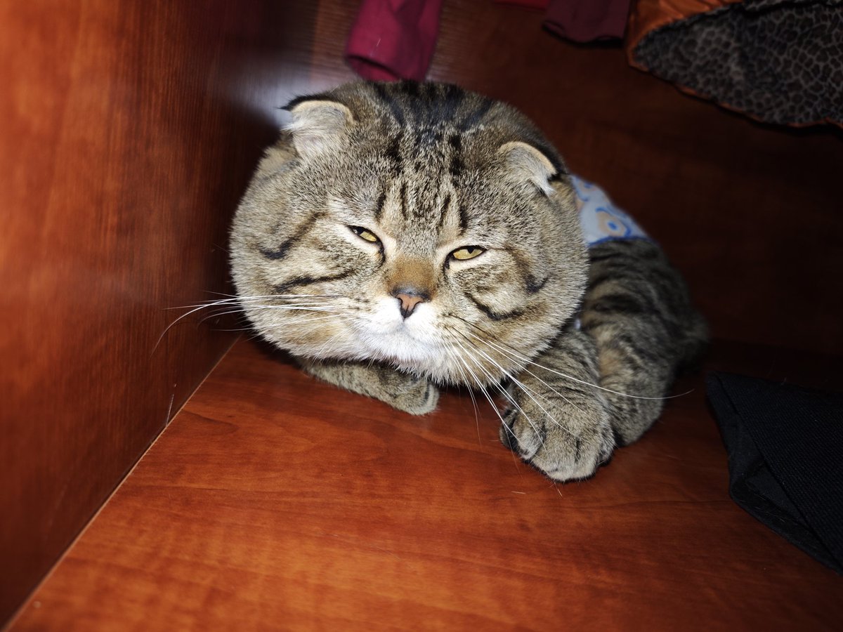 可爱捏😋😋😋