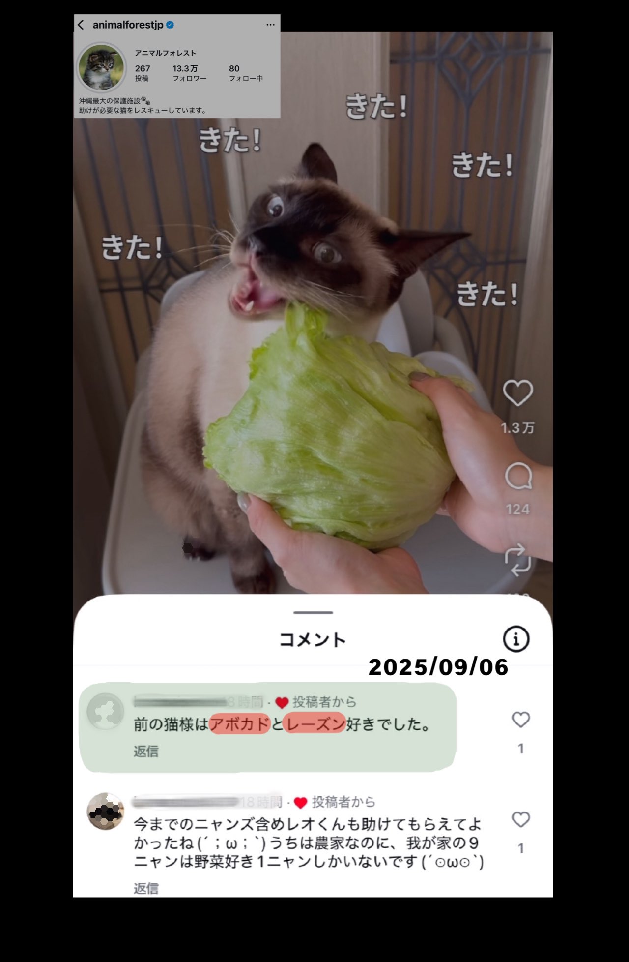 て*う様 龍脈の精髄 ― 煙水晶「山の幻影を宿す結晶」※売上の一部を保護猫活動に 龍脈の精髄 ― 煙水晶「山の幻影を宿す結晶」※売上の一部を保護猫