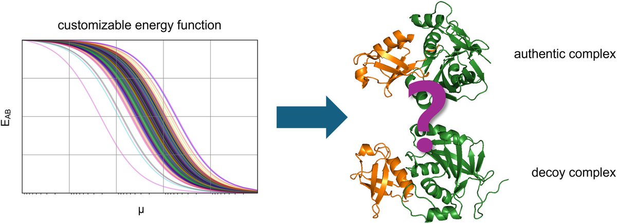 Design principles of protein–protein interfaces by Prof. Jeong-Mo Choi et al. doi.org/10.1002/bkcs.7…