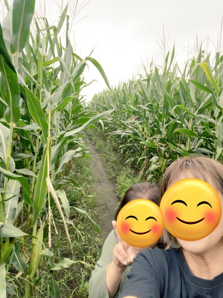 コーンちゃっちゃ迷路🤣🤣
めっちゃマイゴーなったわ🌽