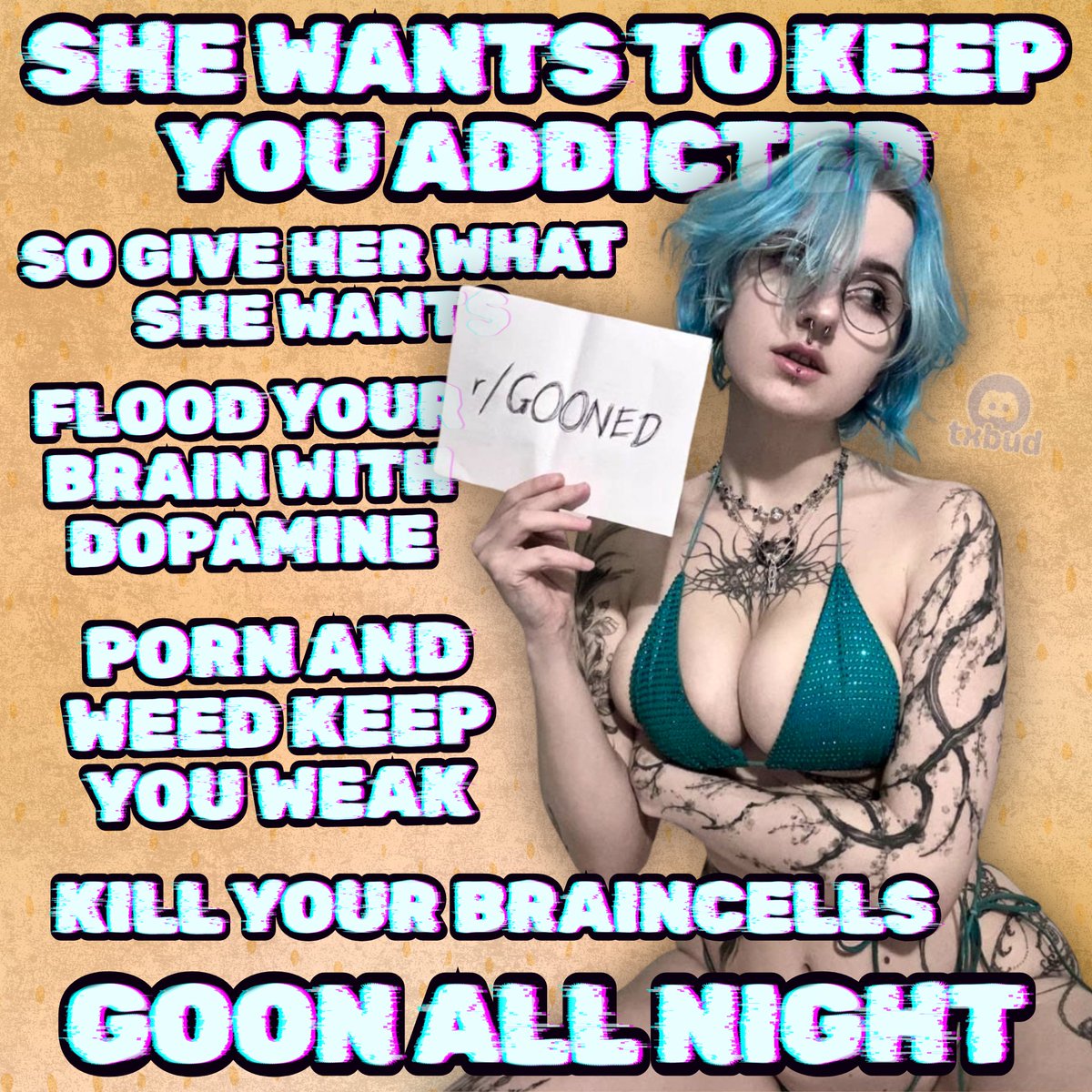 TxBud (Customs Open) tweet media