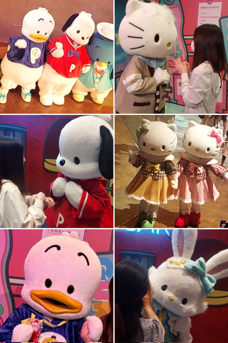 pochape6's tweet photo. 初タグ🏷️お友達探し

ポチャッコ、ペックル
メルちゃん等々
推しがどんどん増えていってます…

 #サンリオ好きさんと繋がりたい #サンリオ好きと繋がりたい ＃サンリオヲタさんと繋がりたい #ピューロ好きな人と繋がりたい #ピューロヲタさんと繋がりたい #ピューロ好きさんと繋がりたい https://t.co/Hu3eppsoEu