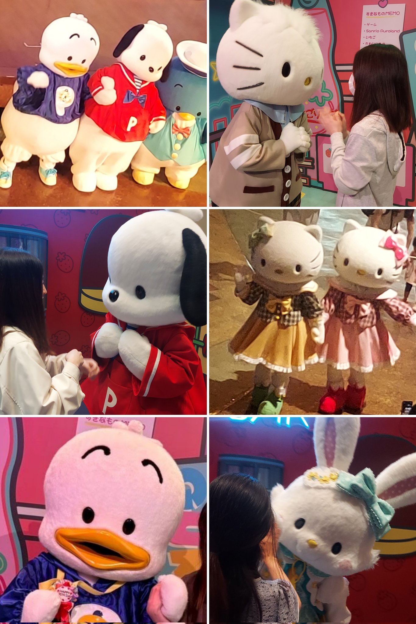 kitty様❽❼ Amazon｜スケーター (skater) ダイカット ランチボックス 360ml