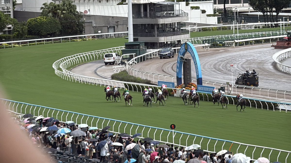 I made no bets but I still successfully predicted who would win😭

(I predicted all based on my experience of Uma Musume this is crazy😭😭😭)