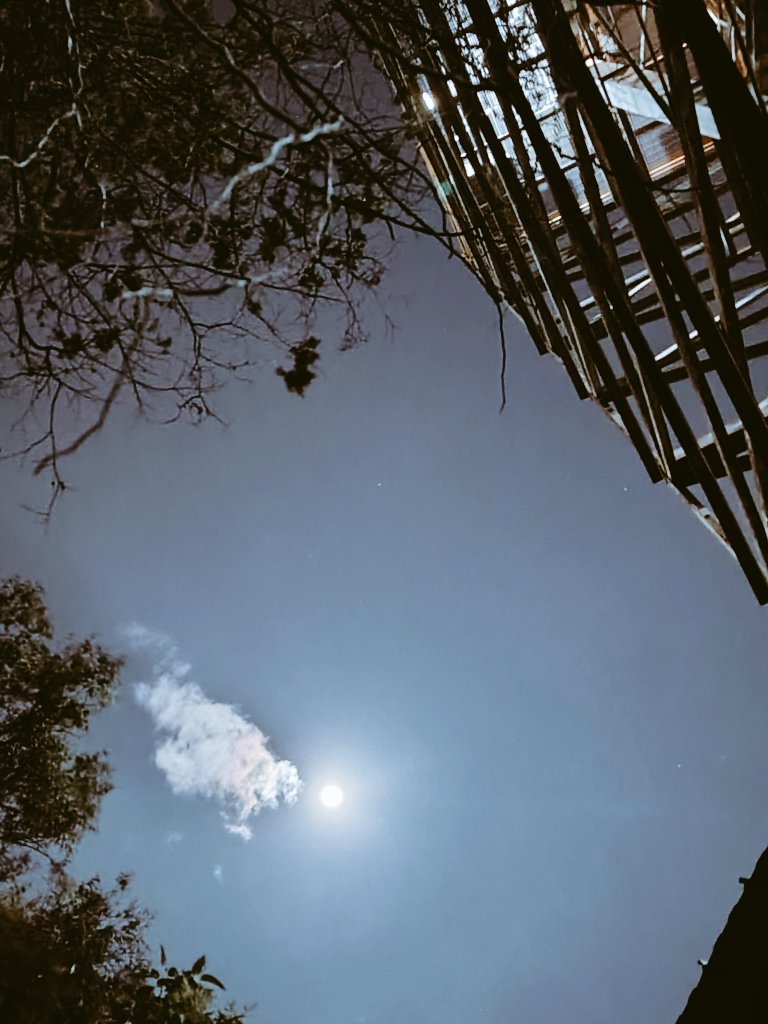 darisaurio68's tweet photo. #luna Noche de luna 🌛🌛🌛 https://t.co/3EnKlSUCcC