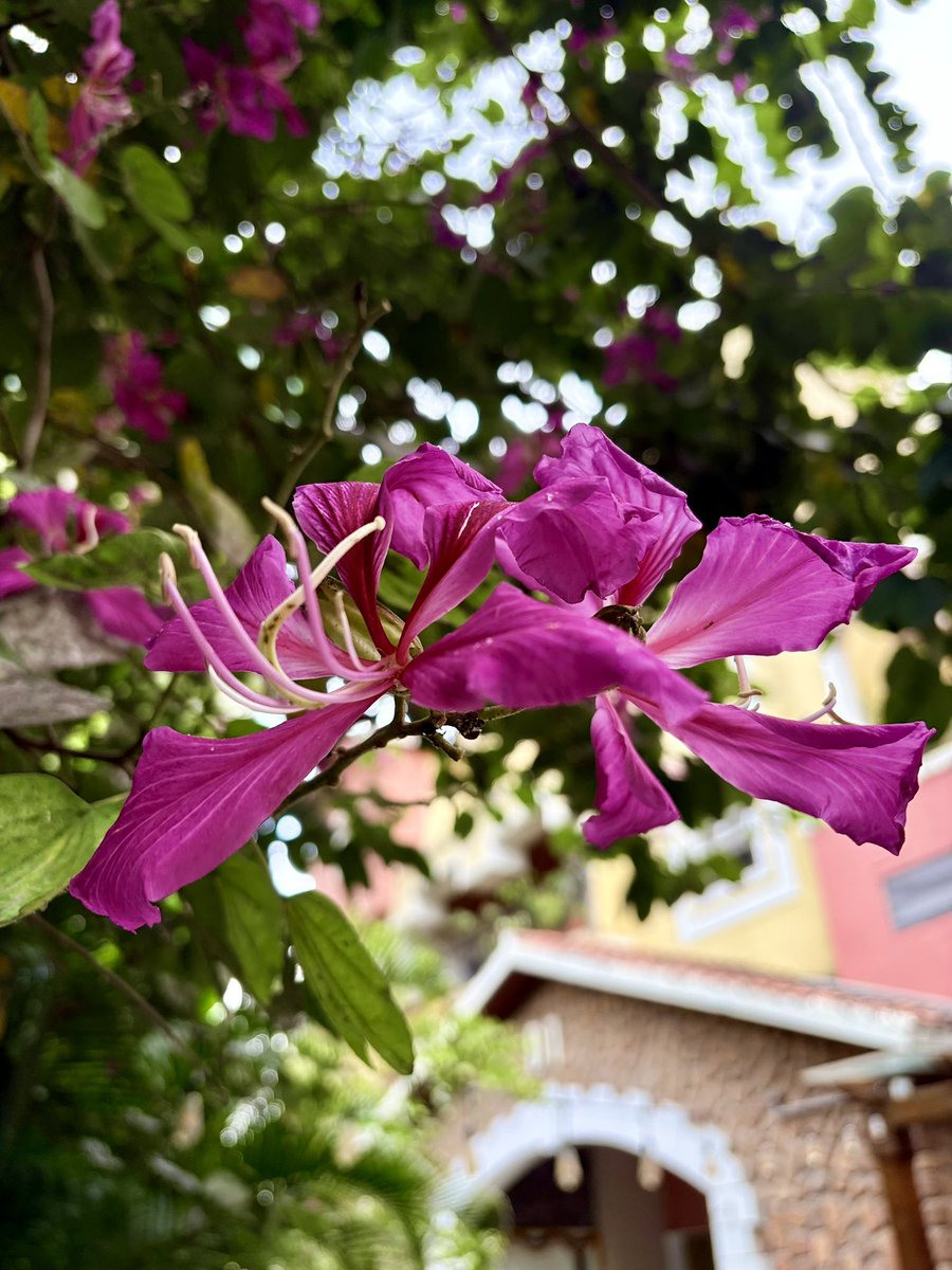 <a href="/KerstiSandstrom/">Kersti Sandström</a> Happy Sunday !!!