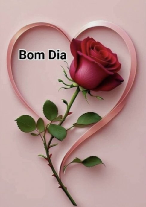 Bom dia ☀️🟣🔵