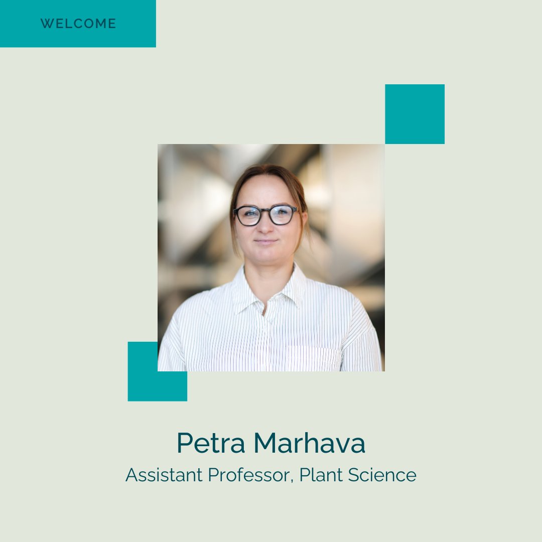 KAUST BESE (@kaust_bese) on Twitter photo Please join us in welcoming Dr. <a href="/MarhavaPetra/">Petra Marhava</a> to KAUST as Assistant Professor of Plant Science.
Her lab investigates how plant roots respond to temperature and drought stress, using advanced molecular and cellular approaches. This research supports BESE’s broader efforts in Please join us in welcoming Dr. <a href="/MarhavaPetra/">Petra Marhava</a> to KAUST as Assistant Professor of Plant Science.
Her lab investigates how plant roots respond to temperature and drought stress, using advanced molecular and cellular approaches. This research supports BESE’s broader efforts in