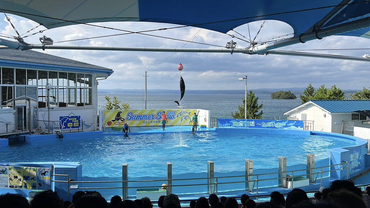 イルカショーなう🐬⸜(˙◁˙)⸝🐬