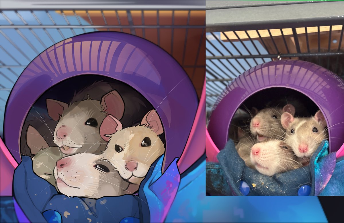 BobaBirdd's tweet photo. A few rat commissions I did over the week! :D #fancyrat #petportrait https://t.co/YQ7t2F0QEX