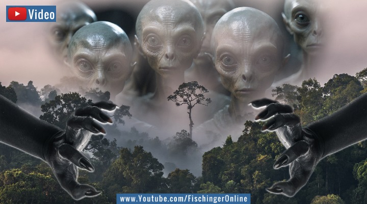 LAFischinger's tweet photo. MEHR als bizarr!
Boshafte Aliens: "#Außerirdische Riesen" attackieren angeblich Amazonas-Bewohner in Peru (Video)

VIDEO: https://t.co/t7YaRLvlaH

#Aliens #Urwald #Peru #Südamerika #Bizarre #UAP #Amazonas https://t.co/813csedBvR
