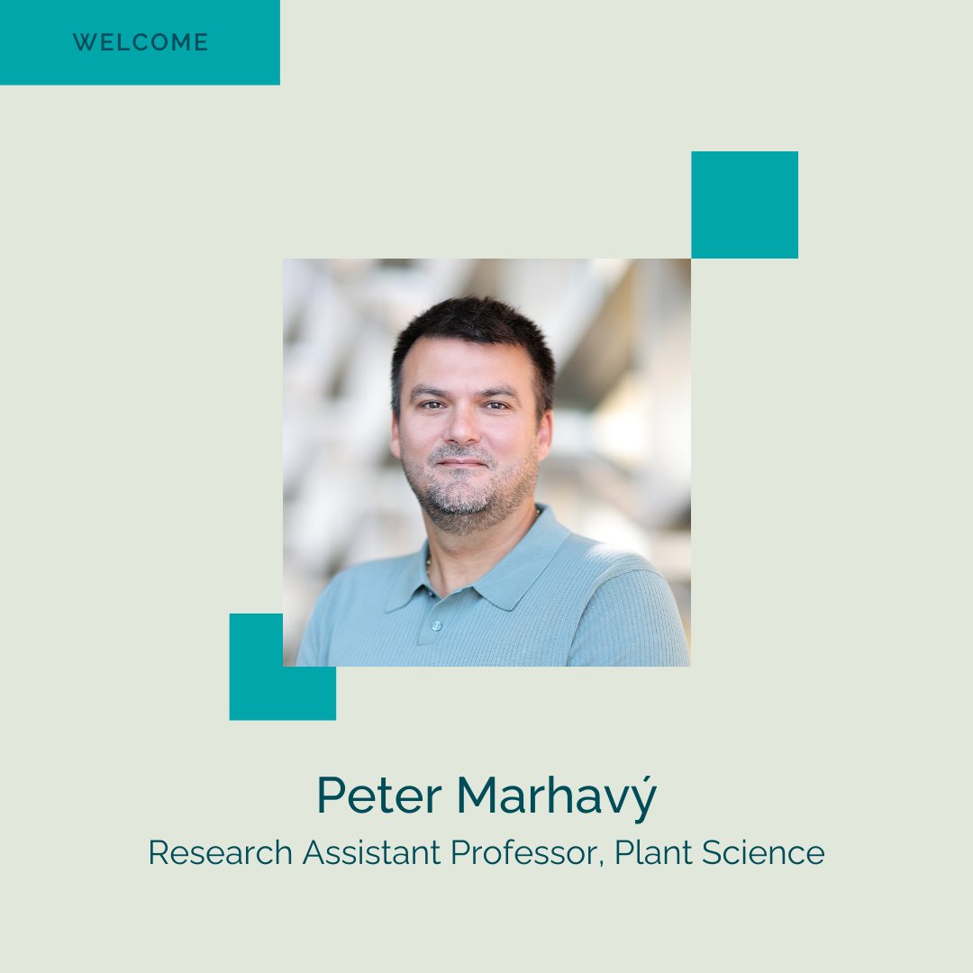 Please join us in welcoming Dr. Peter Marhavý to KAUST as Research Assistant Professor of Plant Science.

His lab investigates how plants detect and respond to stress within seconds of damage, focusing on root signaling and interactions with the surrounding microbial environment.
