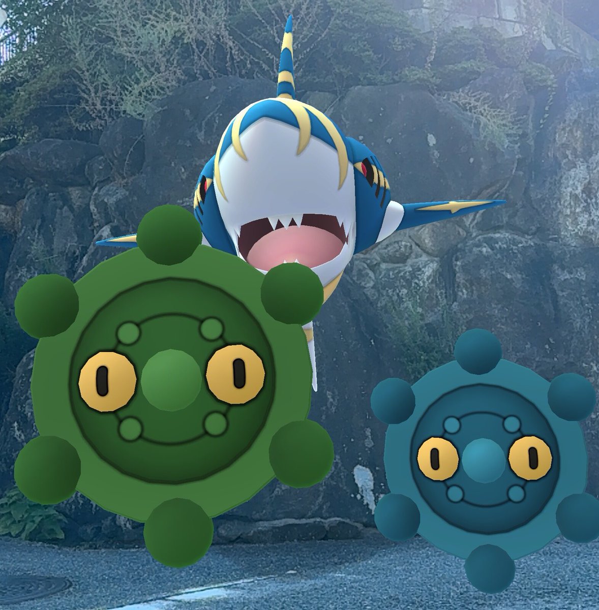 rokipok's tweet image. Mystic shield

#PokemonGO
#GOsnapshot 
#Sharpedo