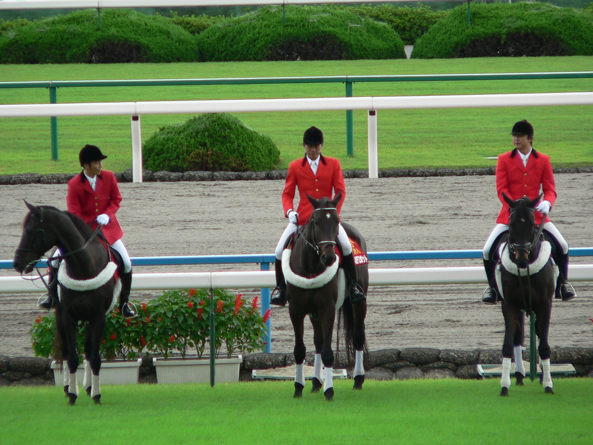 競馬のゼッケン　ツルマルツヨシ 功労馬 | ツルマルツヨシ