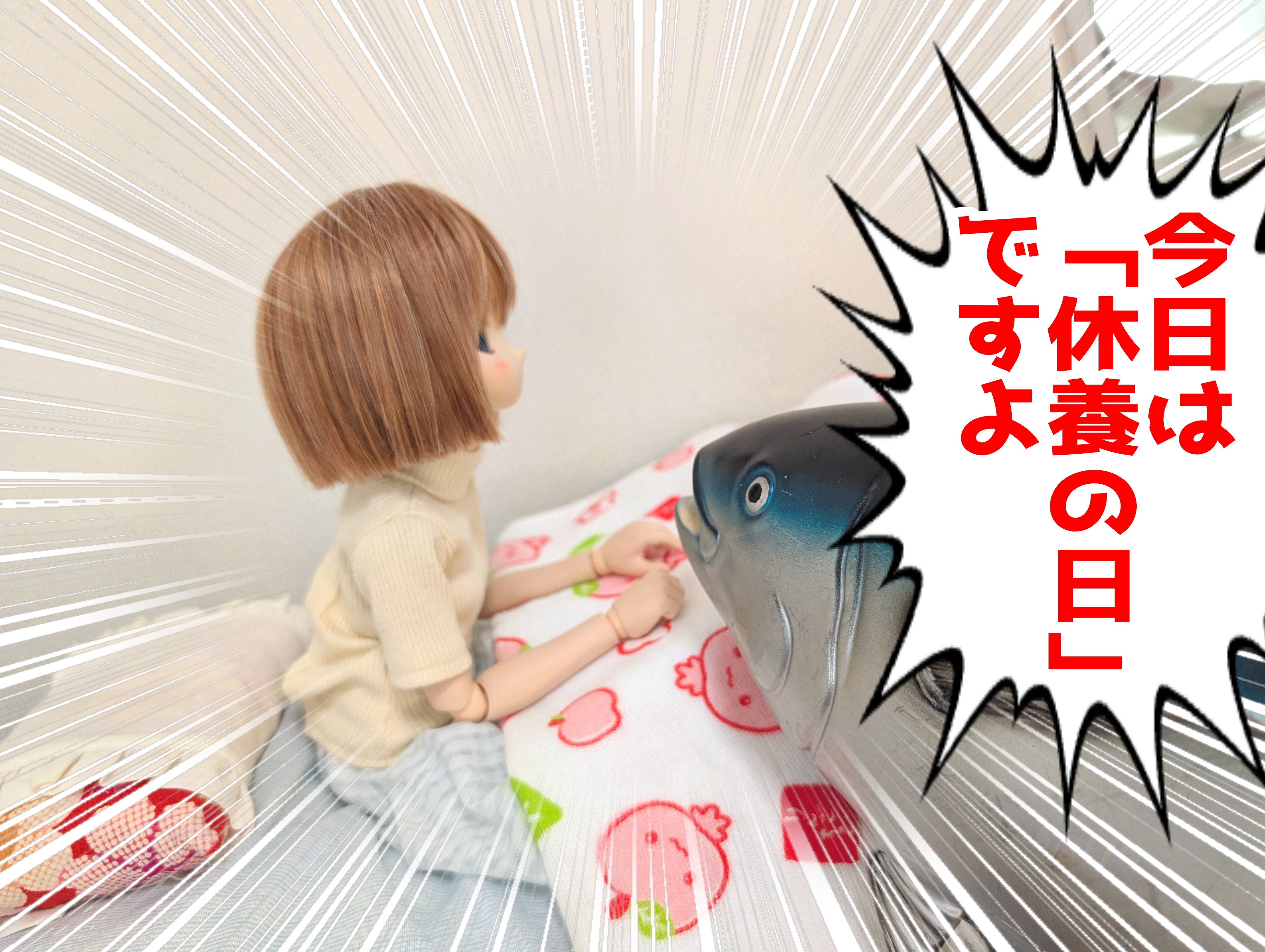 りんごちゃん  せっちゃん、おかわりあるよ たくさん食べてね🍚🍚🍚 Eat as