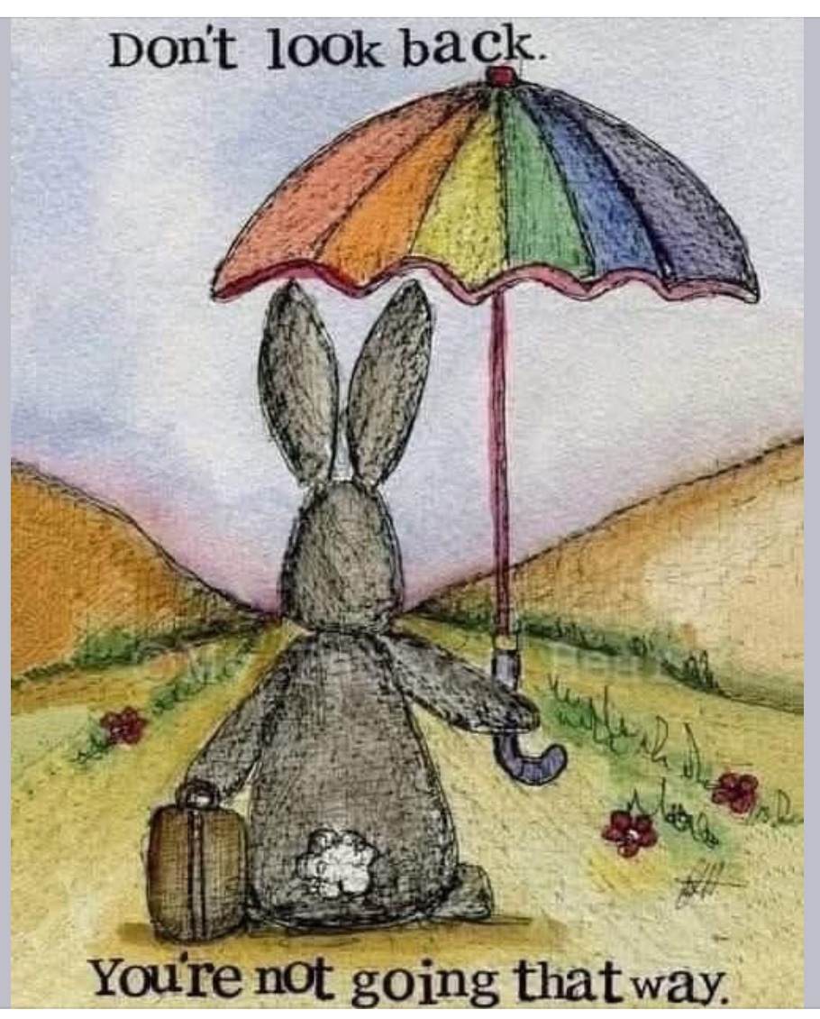 Alyceinwunderland (@gmalinda27) on Twitter photo 