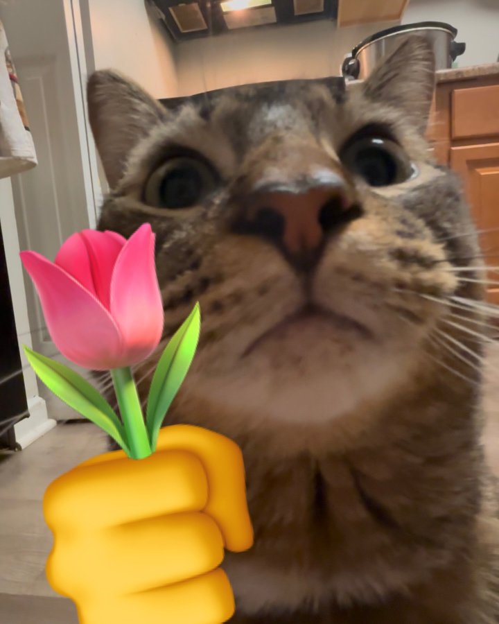 𝐗𝐂.♛ Athar Arezᵛᶰˣ Brav Vadid Ganendra#BAGJAWAVE tweet media