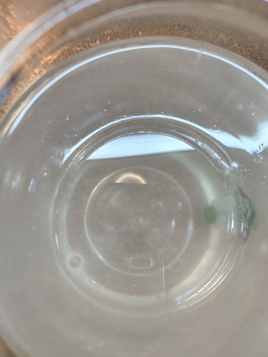 nauhia_herb's tweet image. ティーツリー蒸留。精油の層がキラキラ✨ 部屋中いい香り〜✨

#ティーツリー
#teatree
#herbwater 
#hydrosol