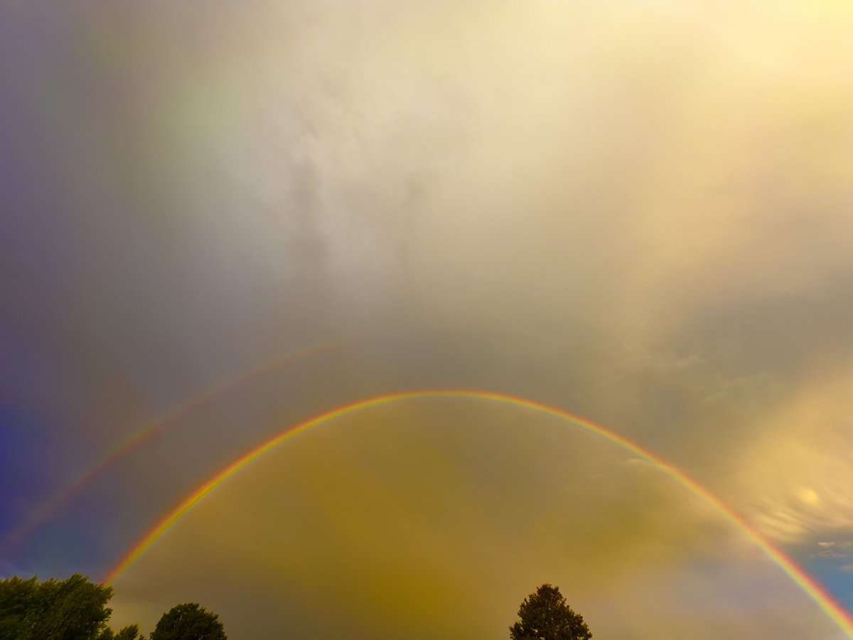 TanManJr's tweet image. 