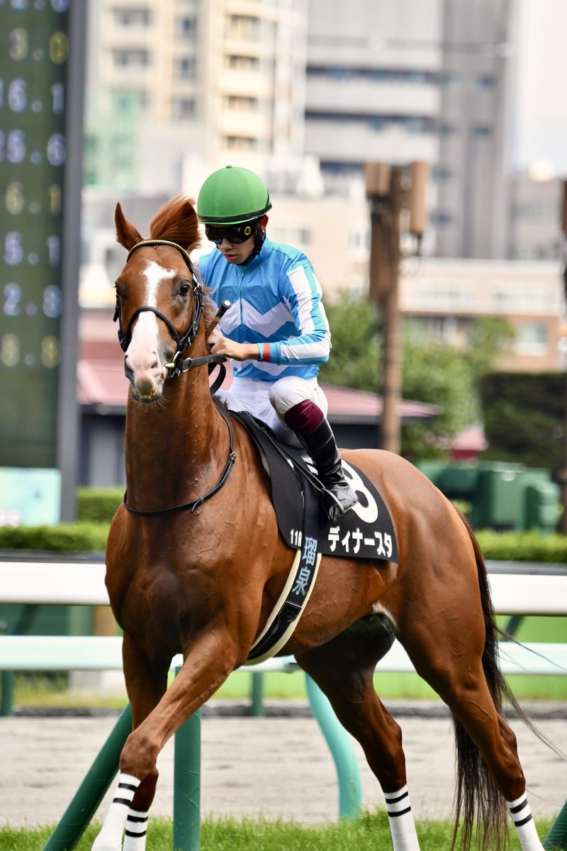 一年振りの平地。
愛くるしいディナースタ

返し馬で「血」が騒いでたけど…

#ディナースタ 
#ノルマンディーOC 
#ノルマンディー