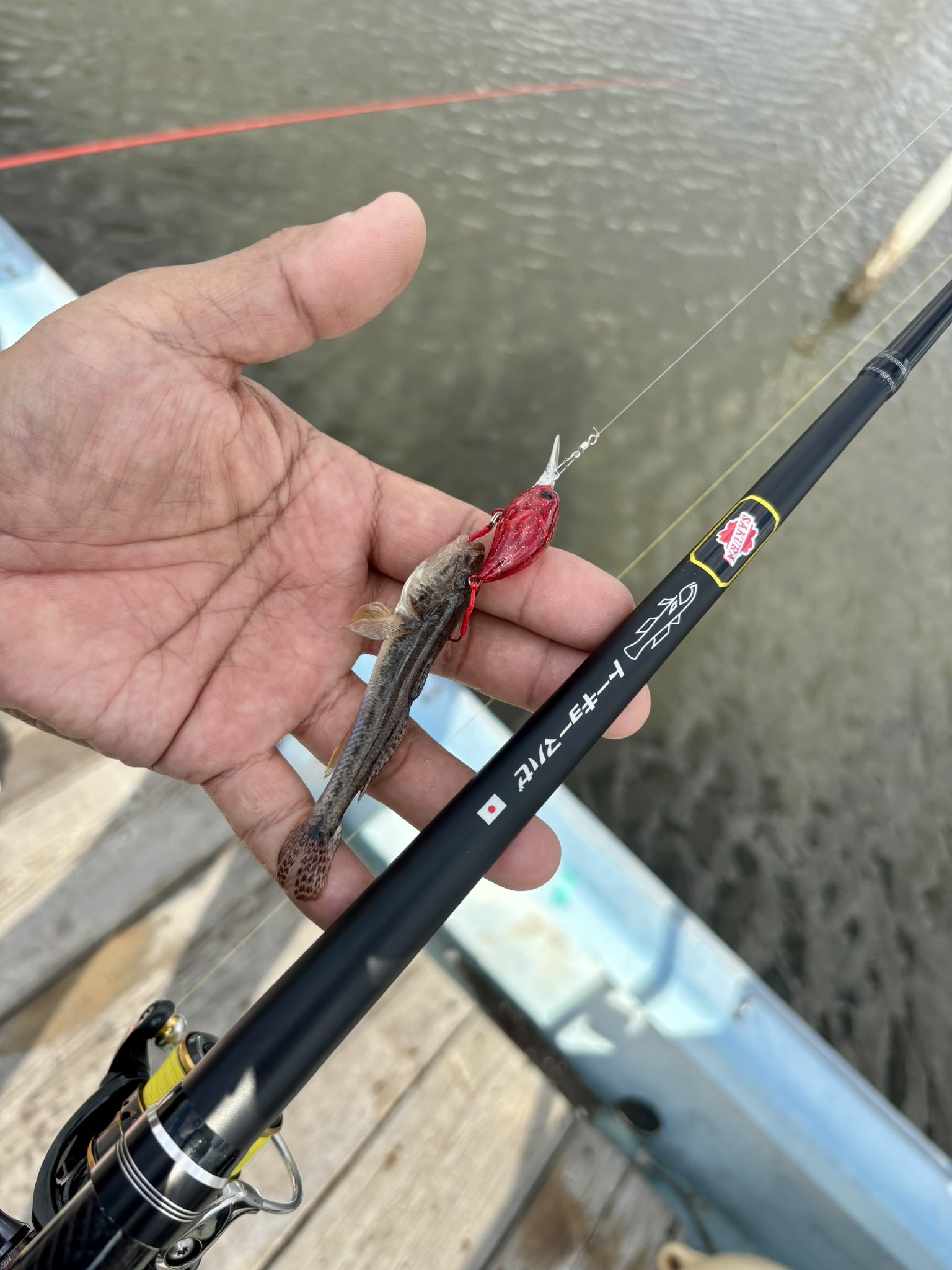 釣ってないはずが Feeding frenzy! I found a hole where I can catch an infinite