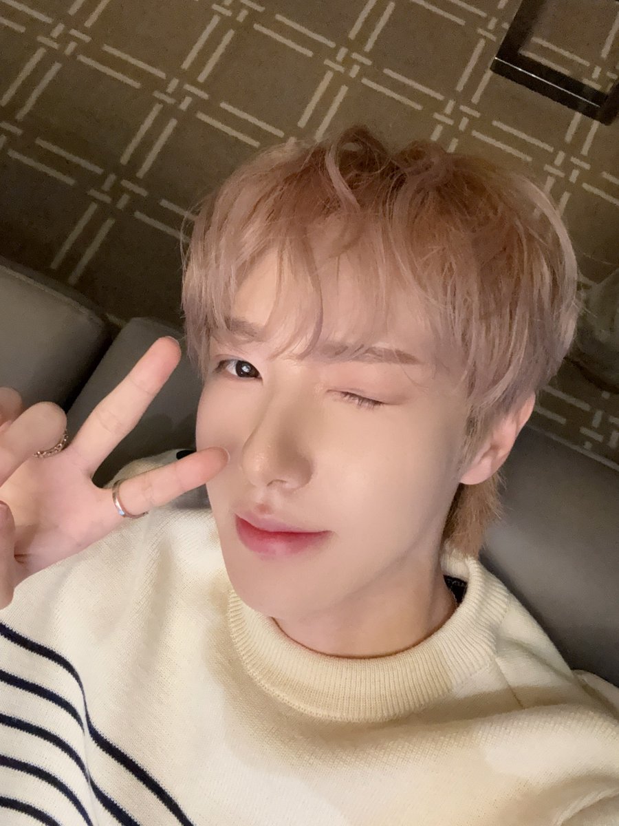 젤리 tweet media