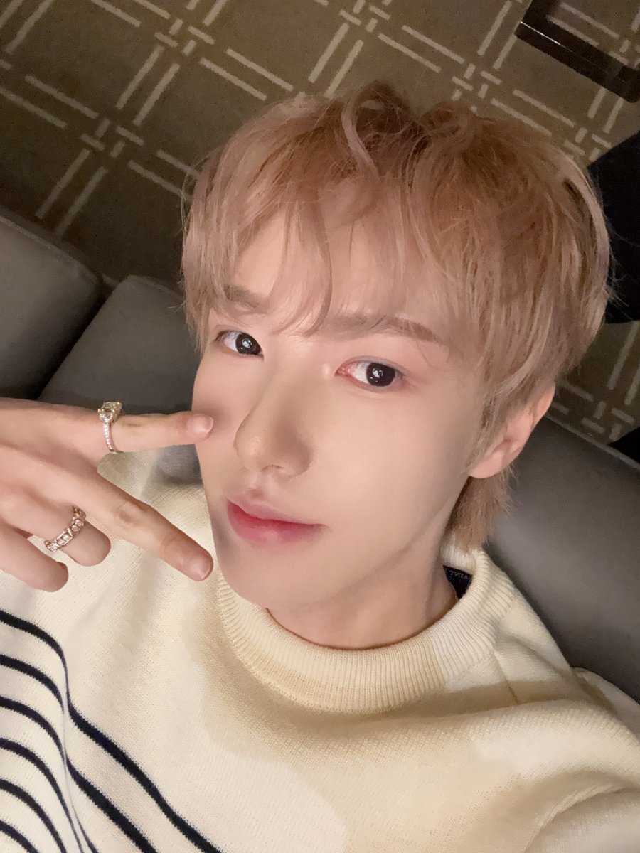 젤리 tweet media