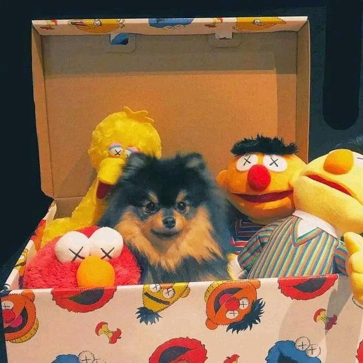 <a href="/jm7Jimin/">지민</a> Happy birthday Yeontan, little angel 🫶
