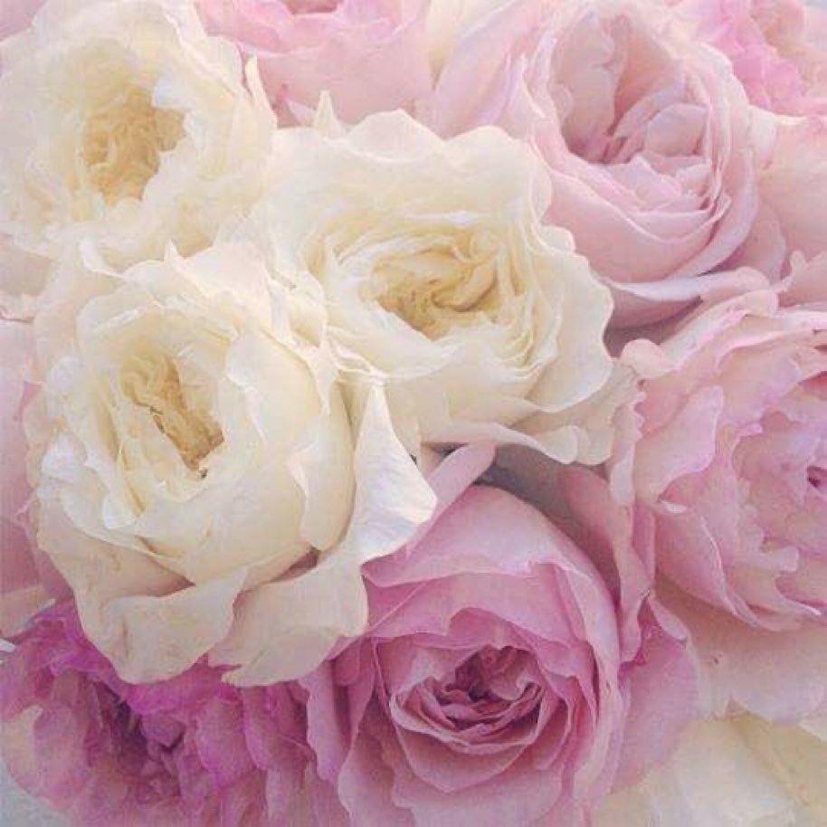 Designerabc's tweet image. 