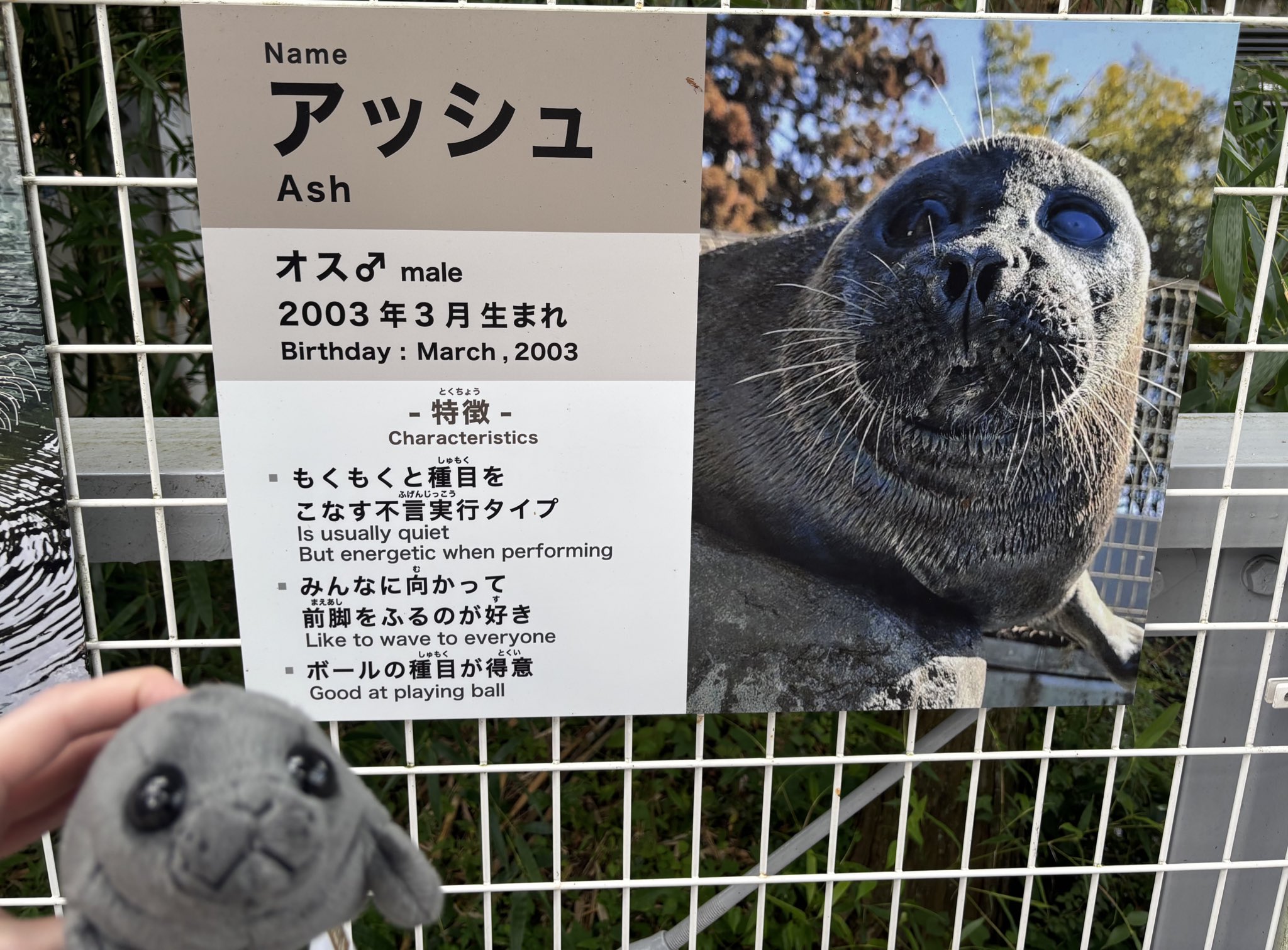 花うさぎ 幸せをよぶ花うさぎ - メルカリ
