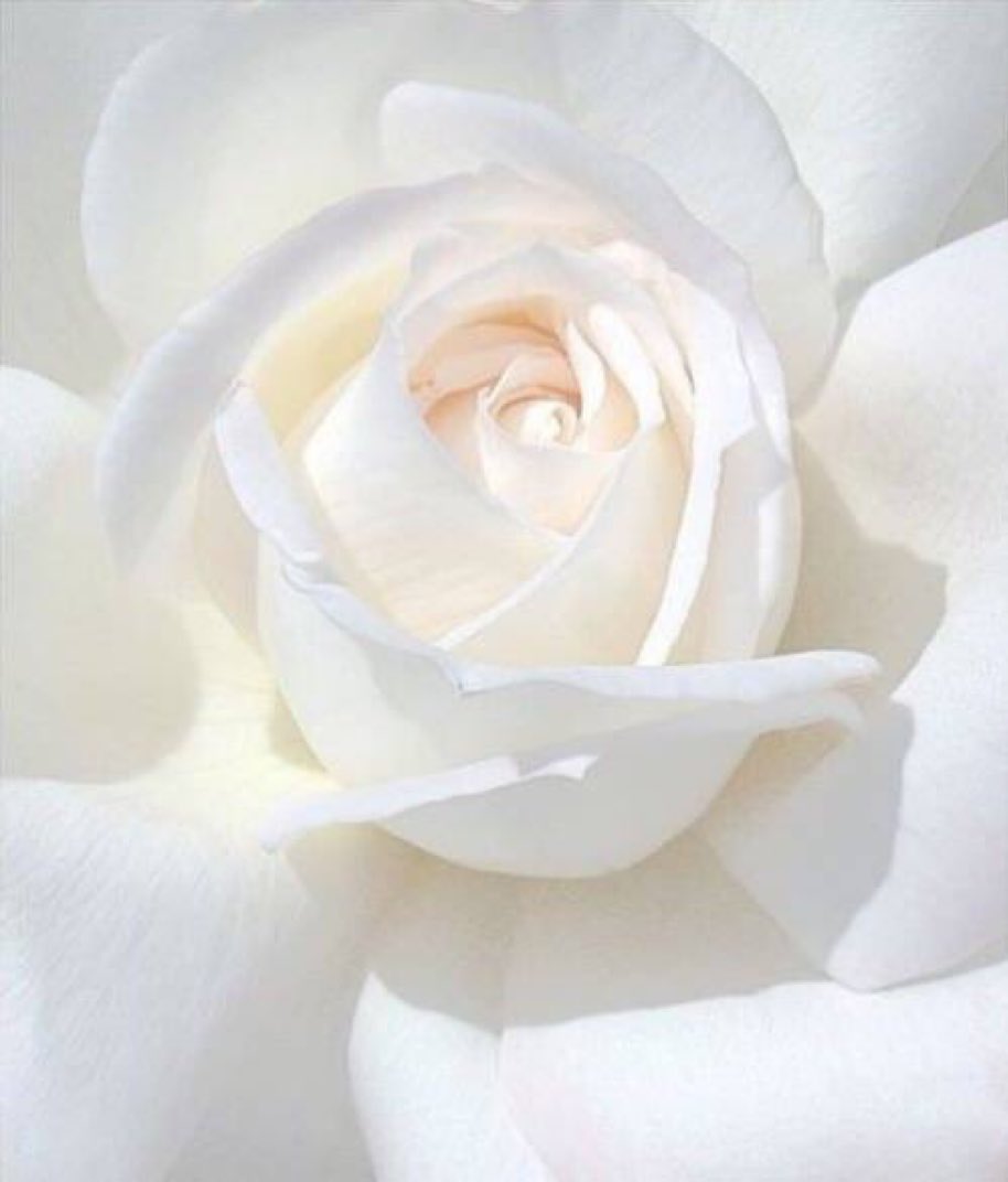 Designerabc's tweet image. 