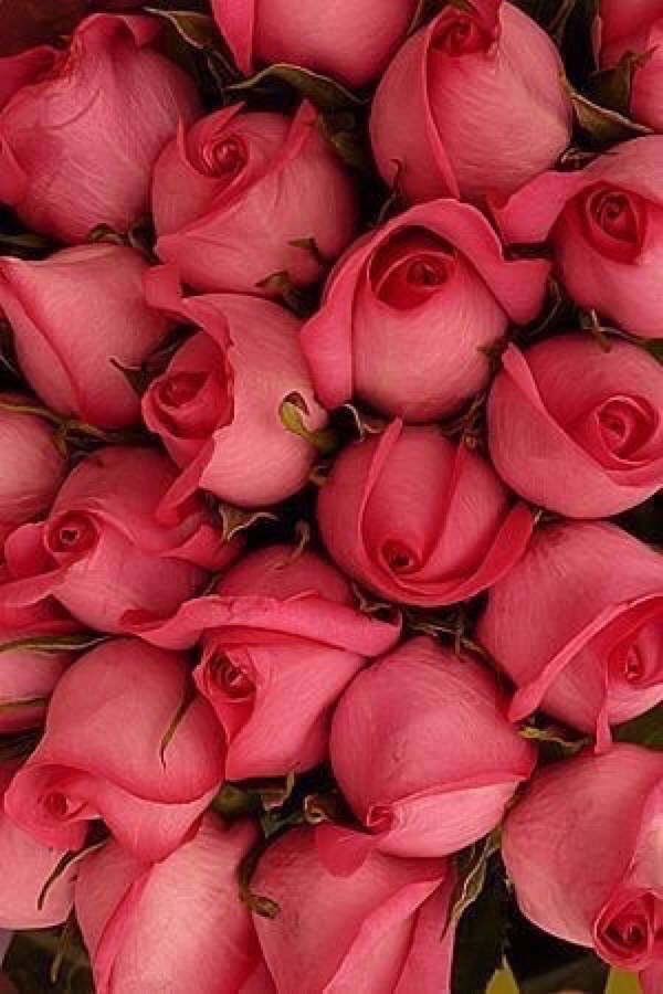 Designerabc's tweet image. 