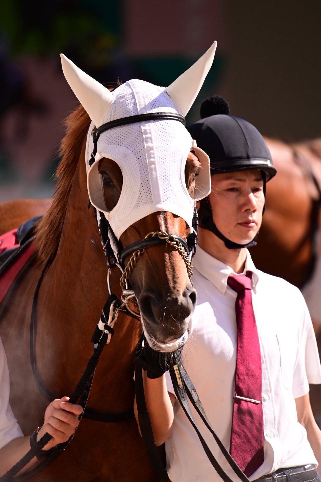 ファインニードル - Search / X