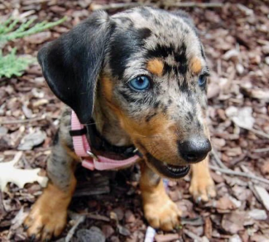 Designerabc's tweet image. 