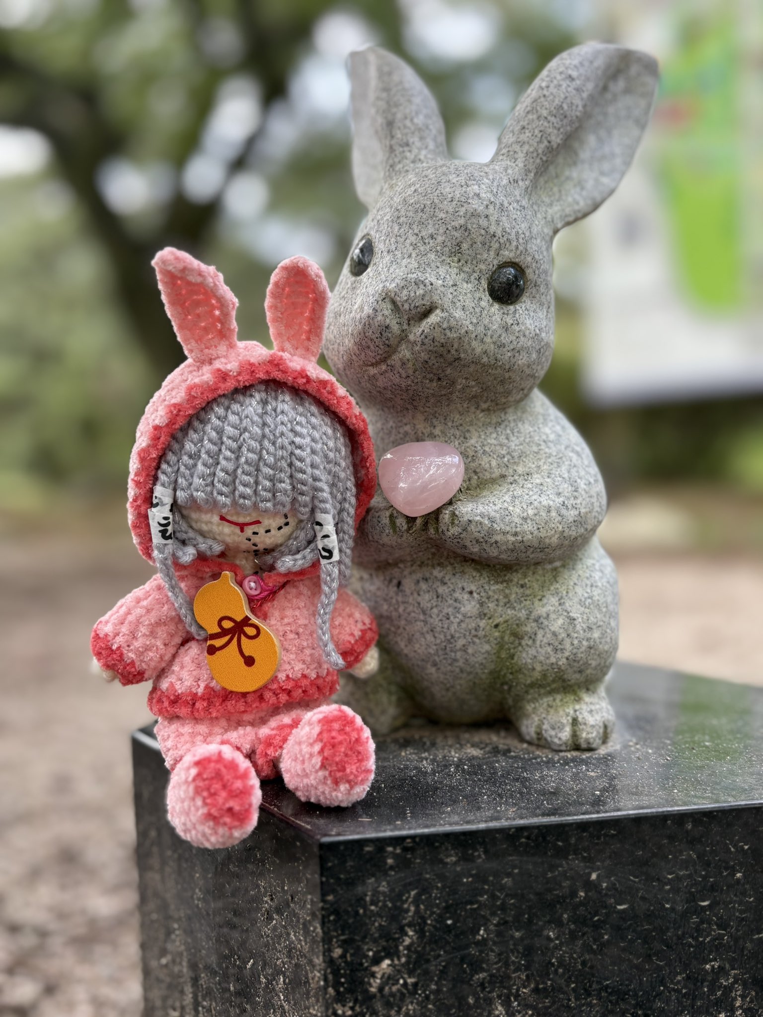 うさぎ 野うさぎ