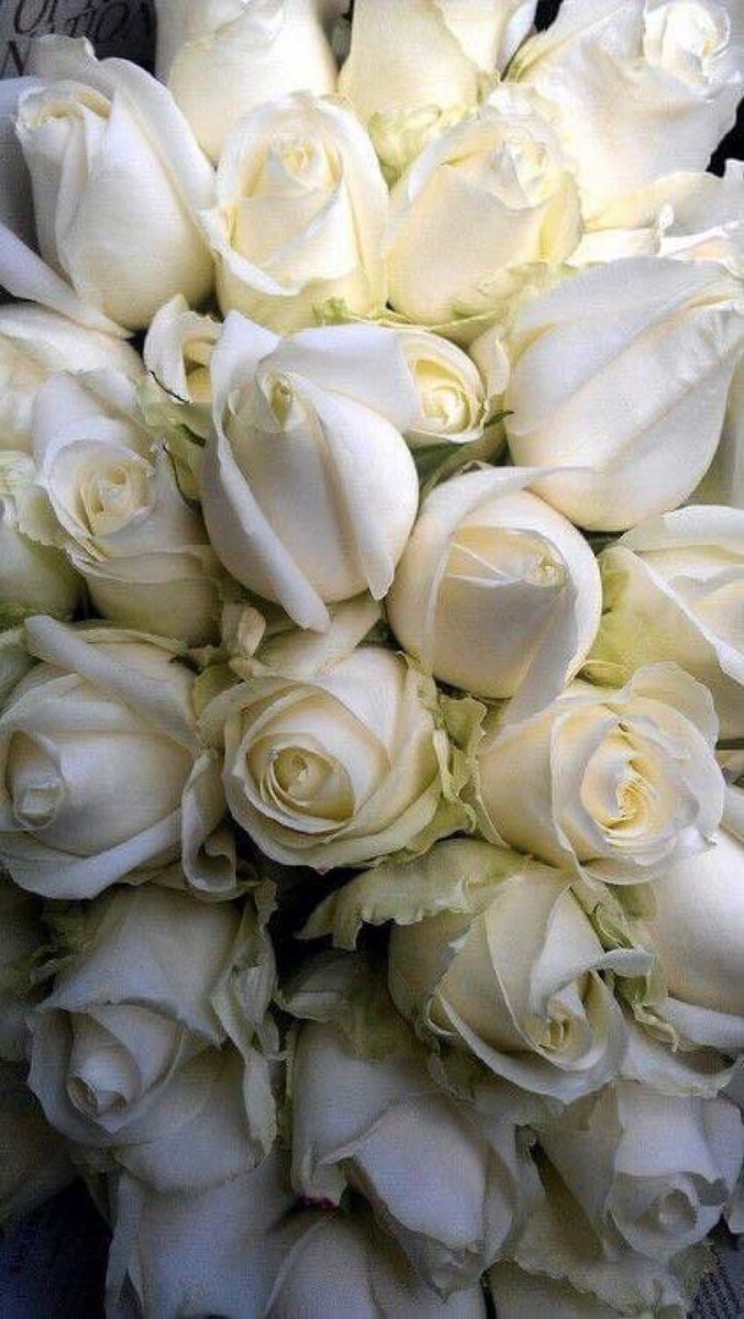 Designerabc's tweet image. 