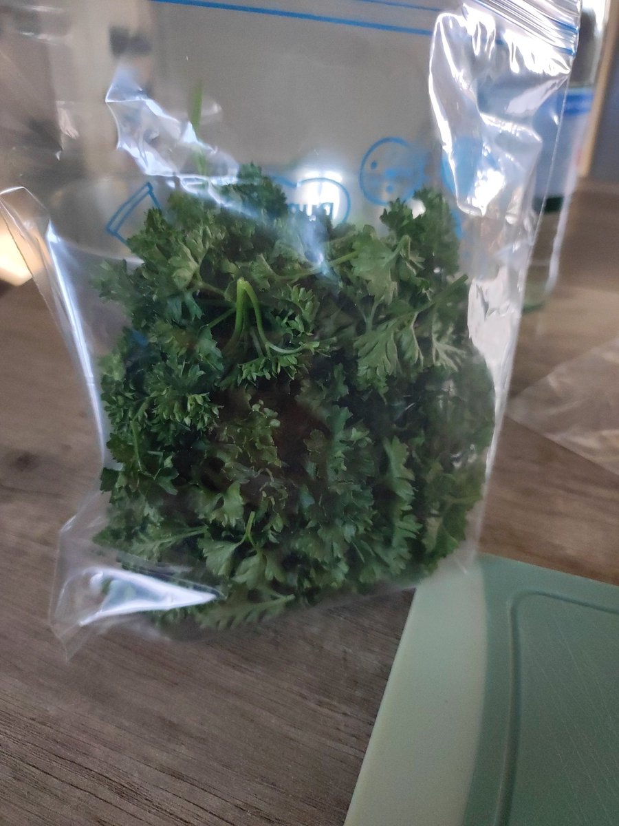 ThisIsLikeSo's tweet image. Bei einer der  VerboteneUnterGuteZeitendesSturmsMarienhof-Sendungen in den 90ern hätte das jetzt jemand heimlich beobachtet wie ich am Küchentisch Petersilie verpacke und hätte das für Marihuana gehalten.... 😂😂😂 Schönen Sonntag ☕