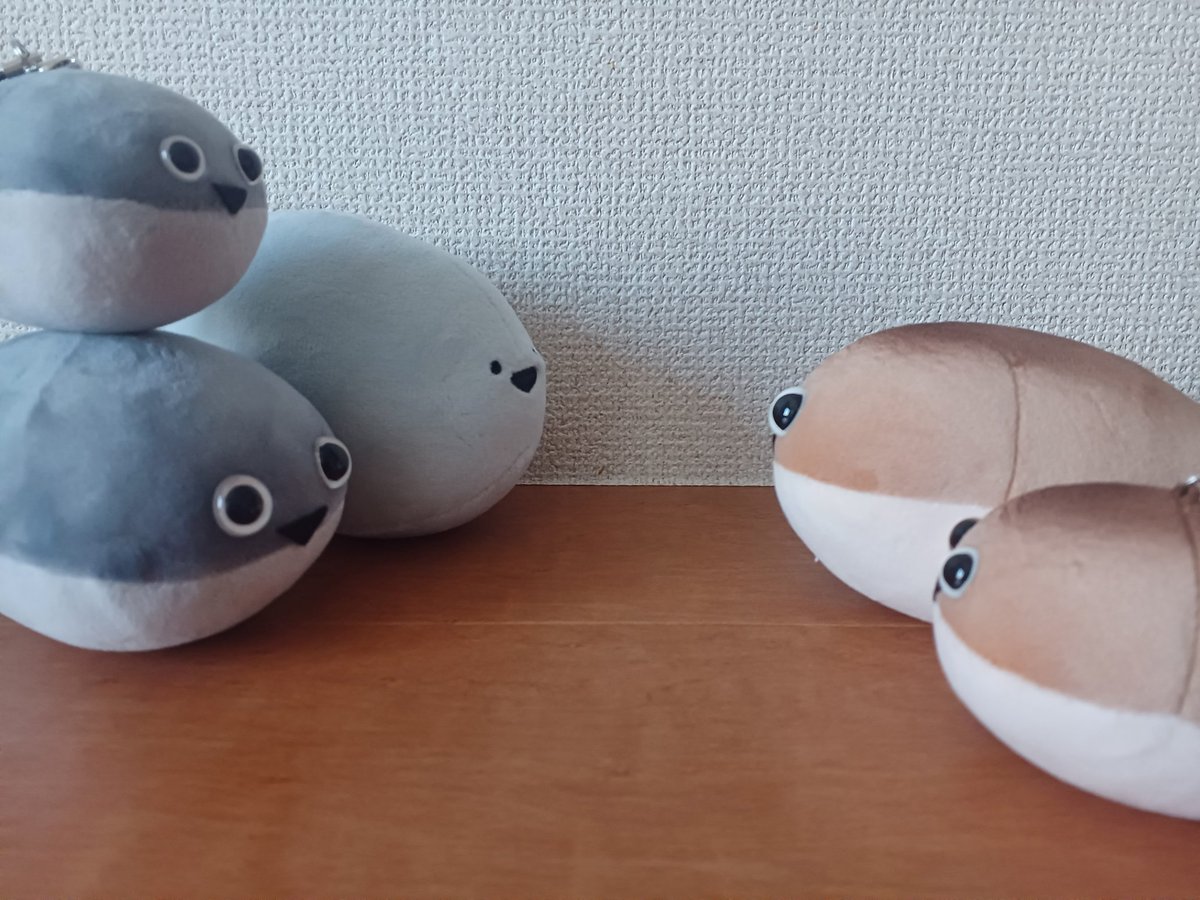 ばすぴす (@baspis_snt) / Posts / X