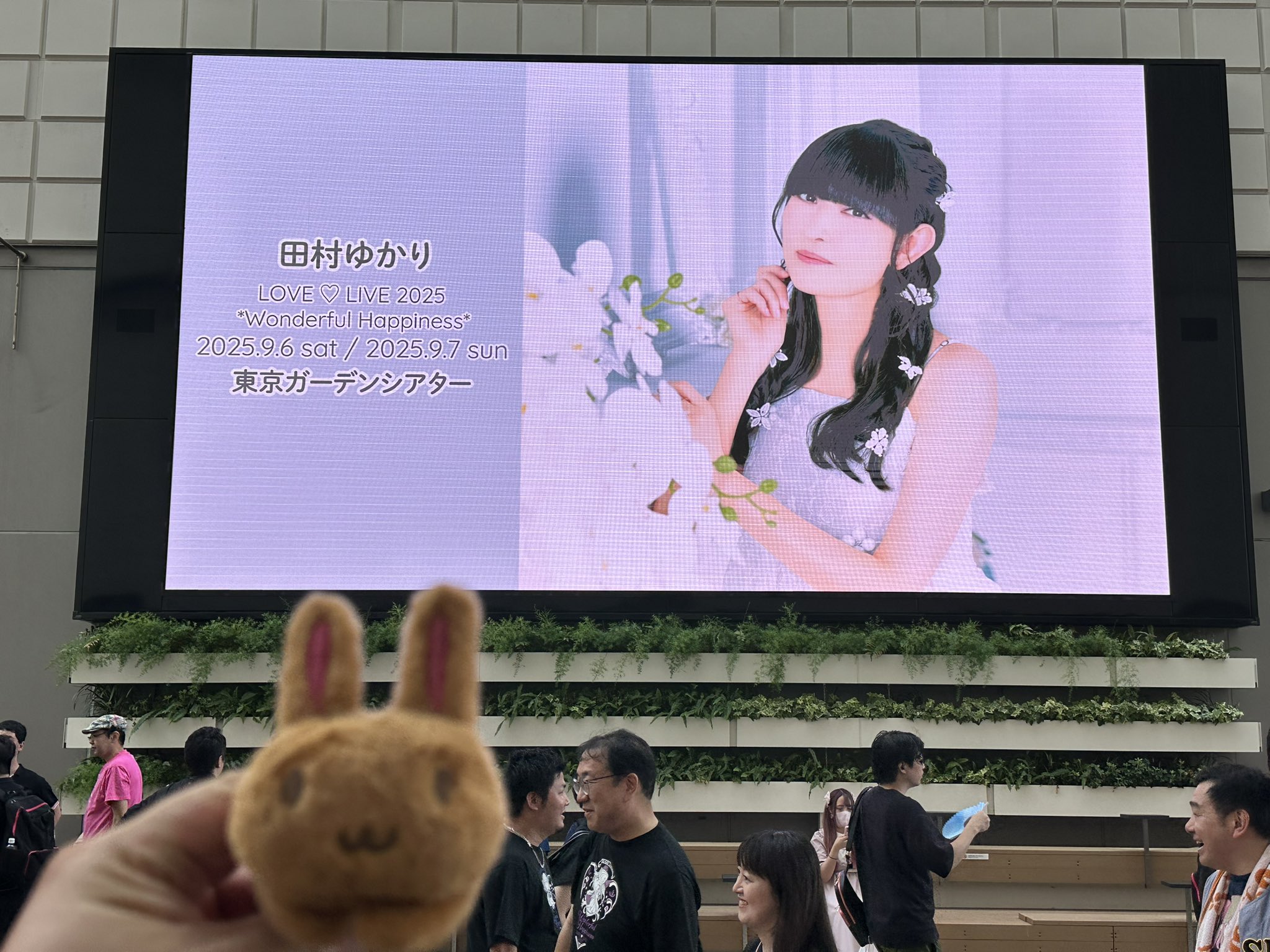 ゼノ@ゆかり王国「田村ゆかりLOVE♡LIVE 2025Wonderful